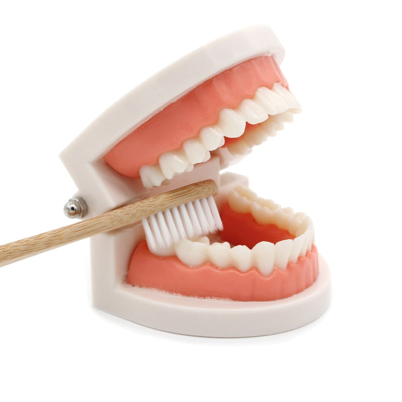 Hračka čištění zubů